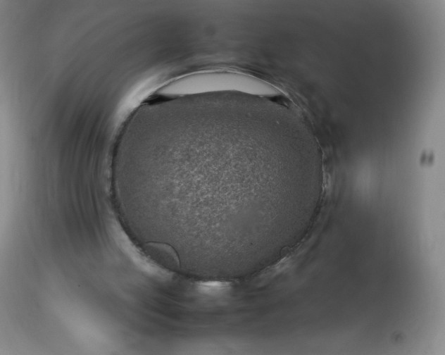 X0000113640053200910021926