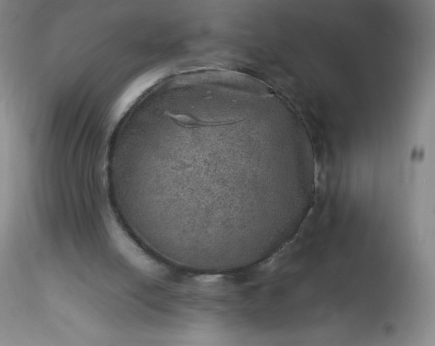 X0000113640054200910021926