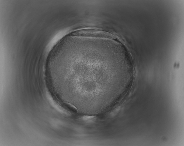 X0000113640055200910021926