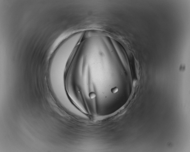 X0000113640056200910021926