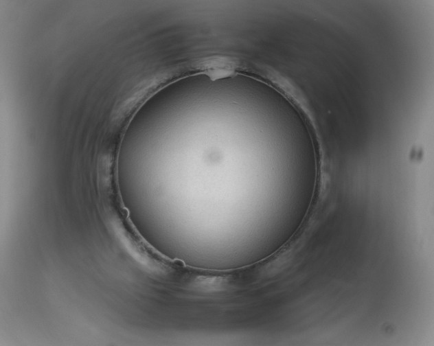 X0000113640057200910021926