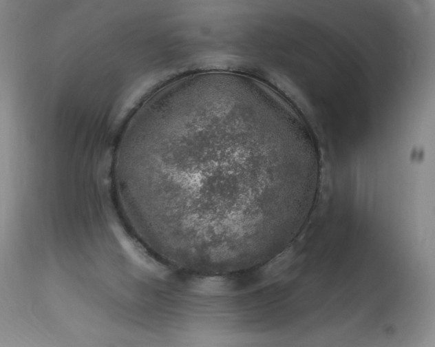 X0000113640058200910021926