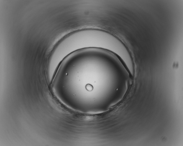 X0000113640060200910021927