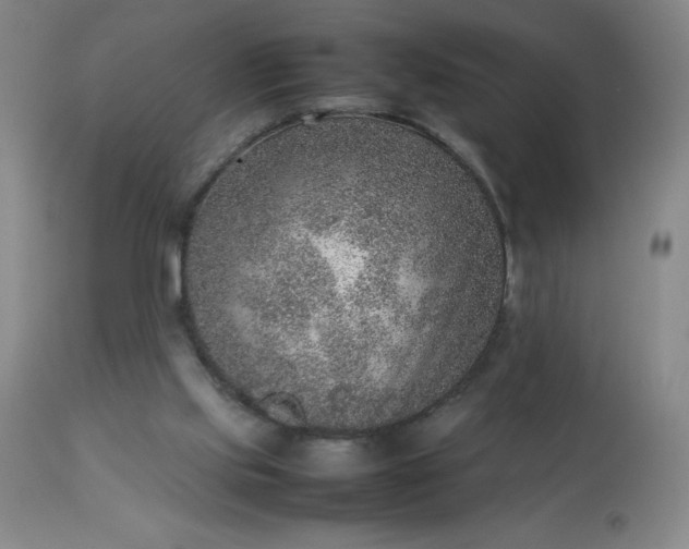 X0000113640061200910021927