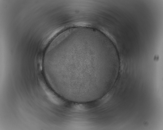 X0000113640062200910021927