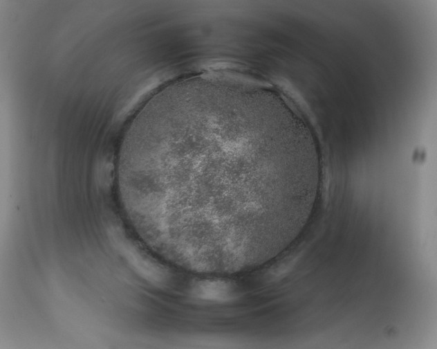 X0000113640063200910021927