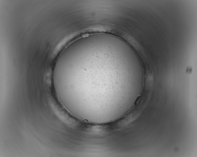 X0000113640064200910021927