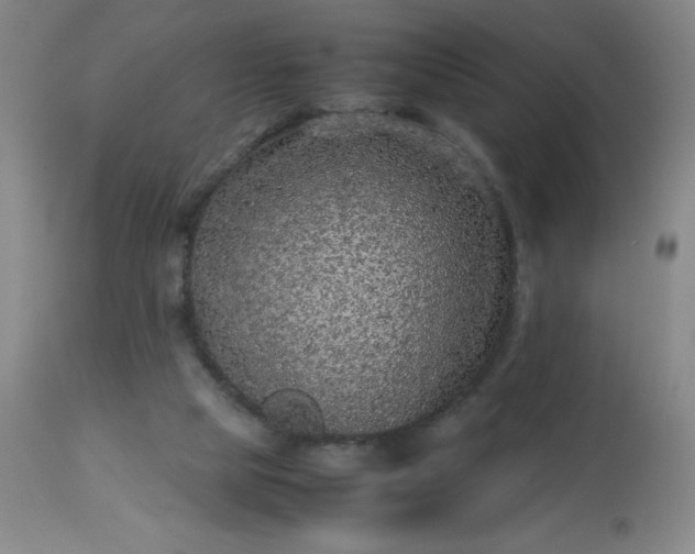 X0000113640065200910021927