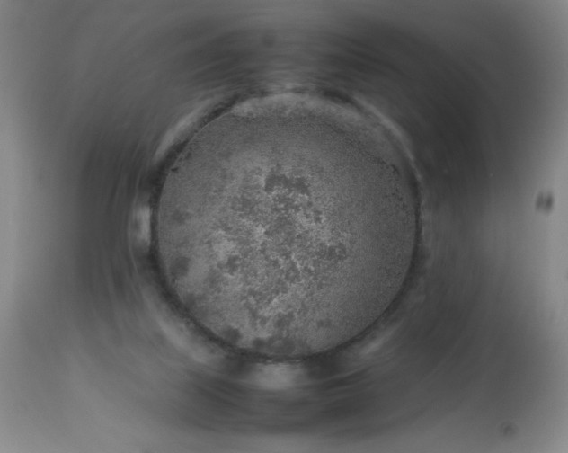 X0000113640067200910021927