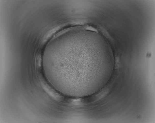 X0000113640068200910021927