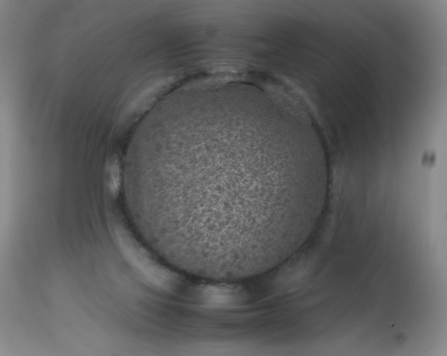 X0000113640069200910021927