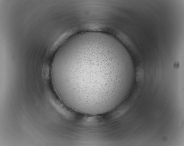 X0000113640072200910021927