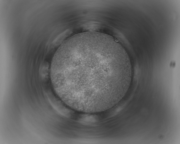 X0000113640073200910021927