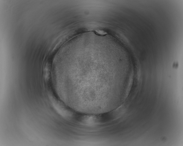 X0000113640074200910021927