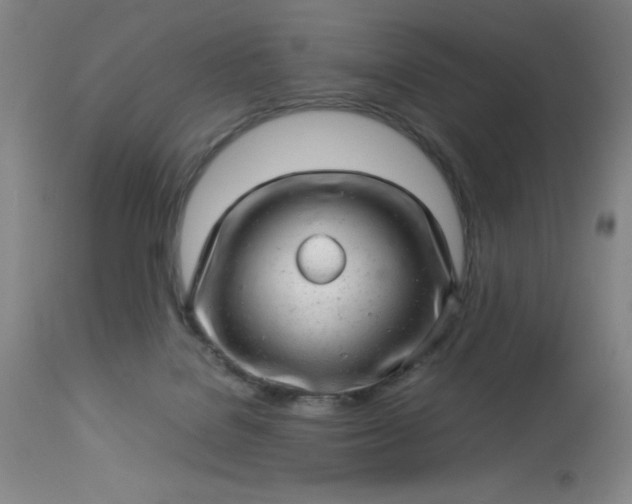 X0000113640076200910021927