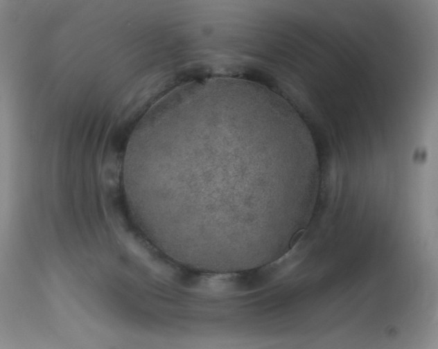 X0000113640078200910021927