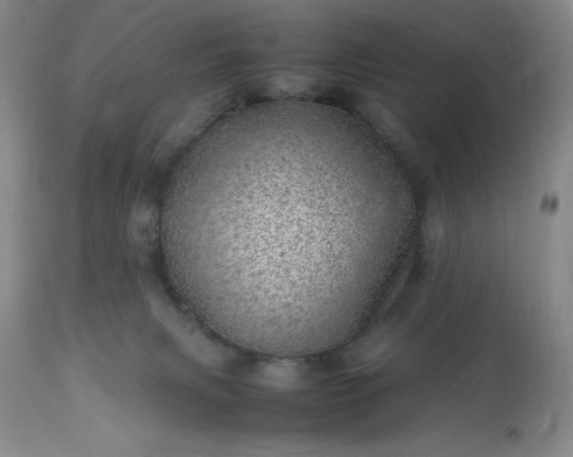 X0000113640079200910021927