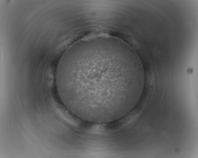 X0000113640080200910021927