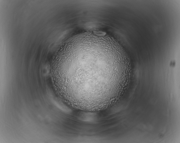 X0000113640081200910021927