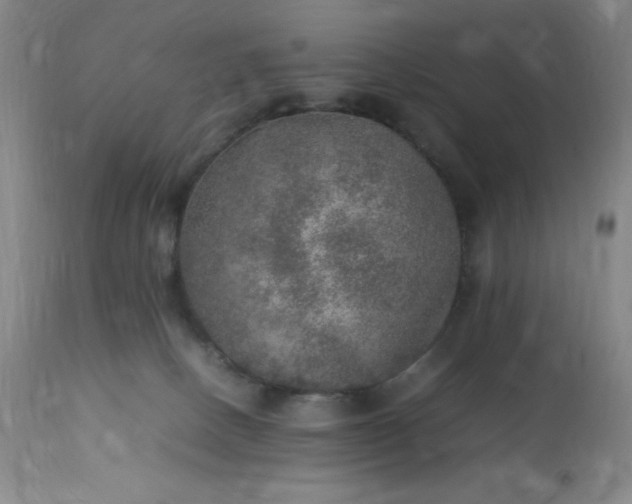 X0000113640082200910021927