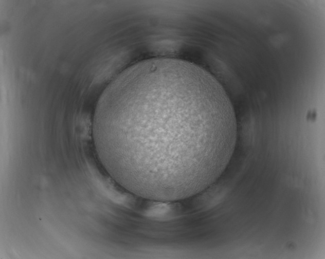 X0000113640083200910021927