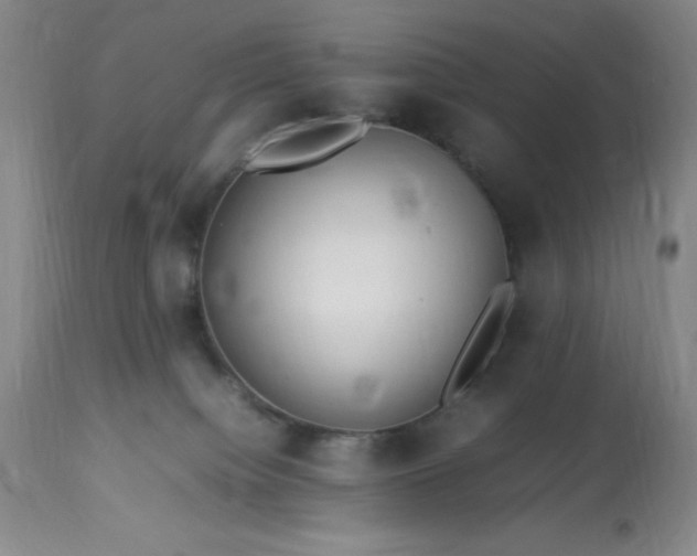 X0000113640084200910021927