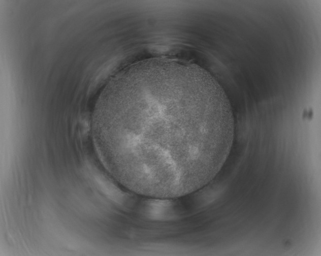 X0000113640085200910021927