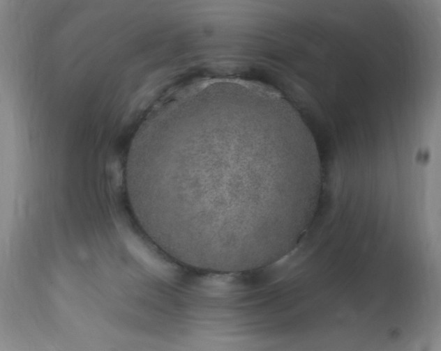 X0000113640086200910021927