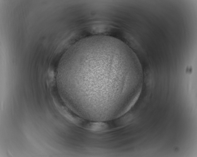 X0000113640087200910021927