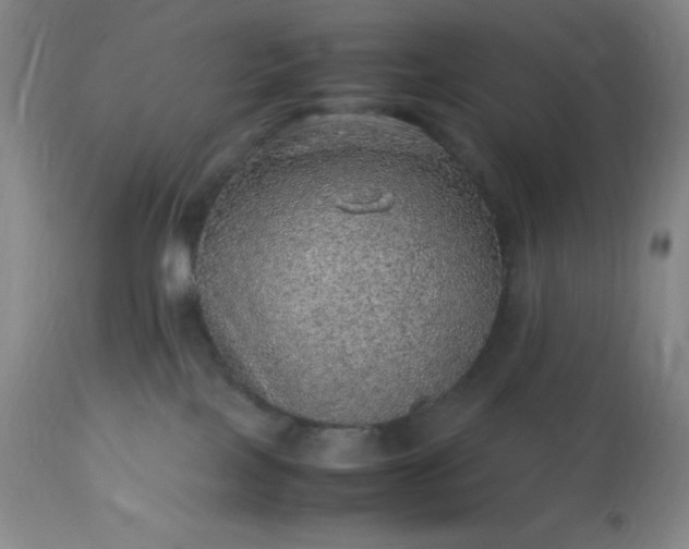 X0000113640089200910021927