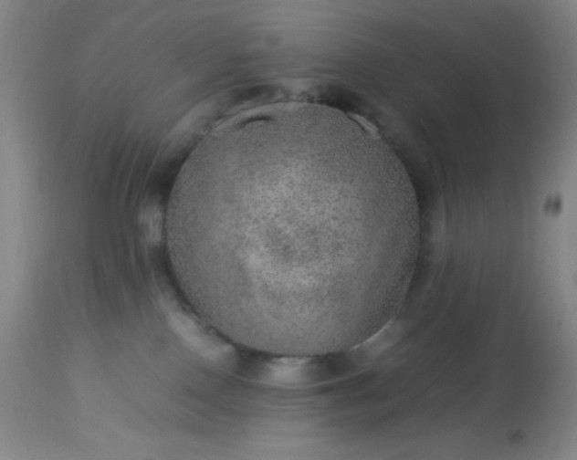 X0000113640090200910021927