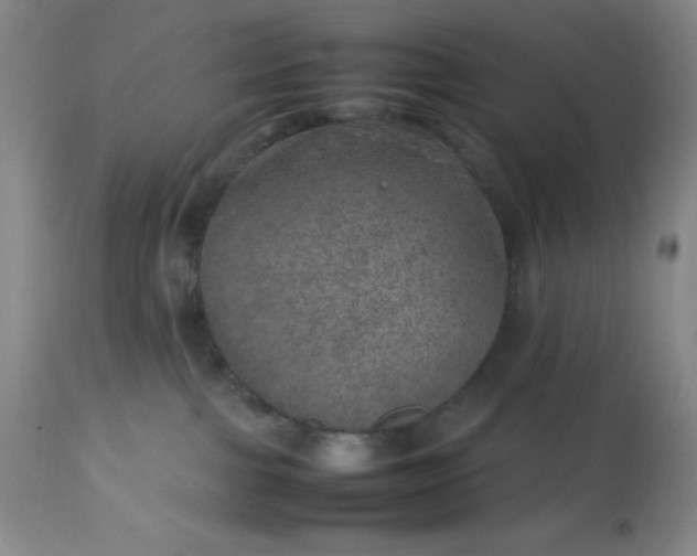 X0000113640091200910021927