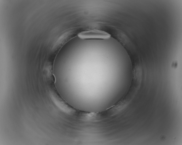 X0000113640092200910021927