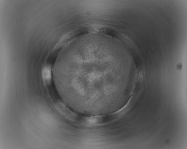 X0000113640094200910021927