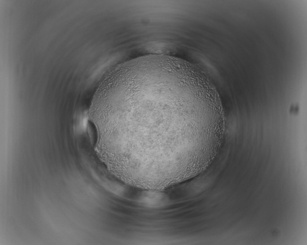 X0000113640095200910021927