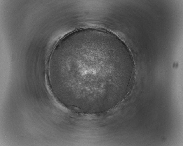 X0000113640097200910021926