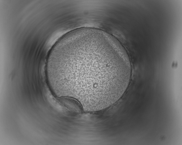 X0000113640098200910021926