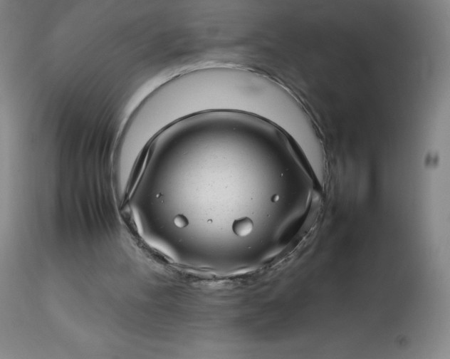 X0000113640100200910021926