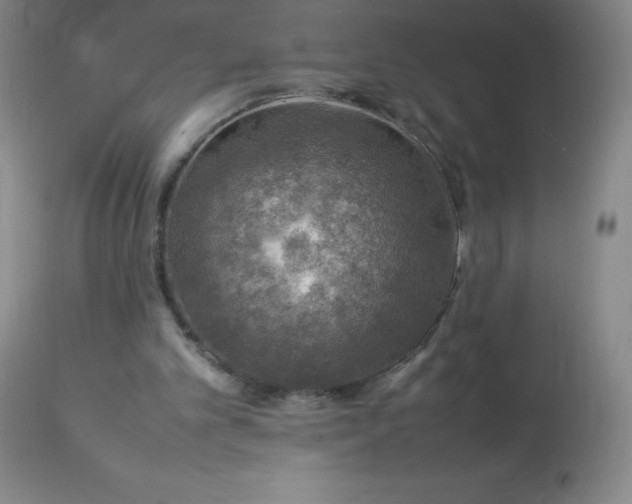 X0000113640101200910021926