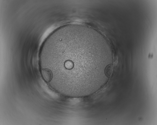 X0000113640102200910021926