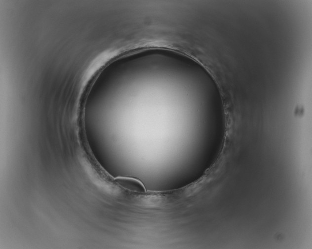 X0000113640104200910021926