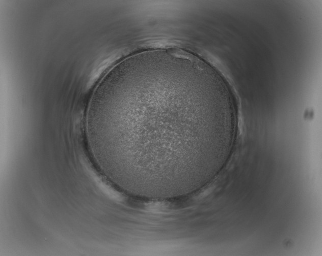 X0000113640105200910021926