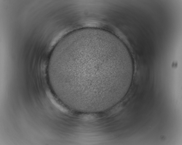 X0000113640106200910021926