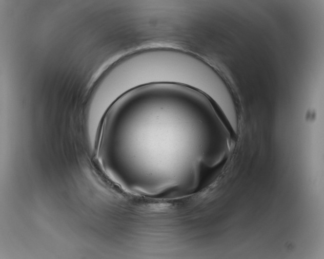 X0000113640108200910021926