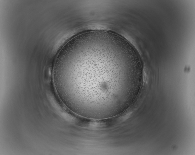 X0000113640109200910021926