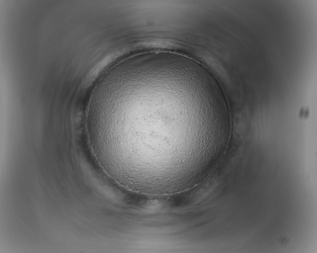 X0000113640111200910021926