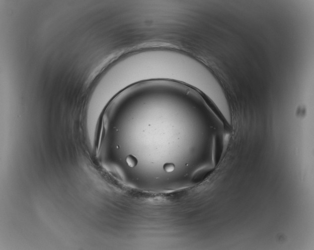 X0000113640112200910021926