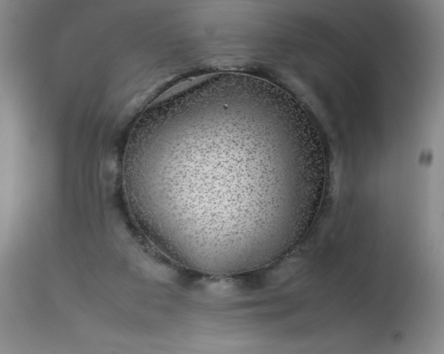 X0000113640113200910021926