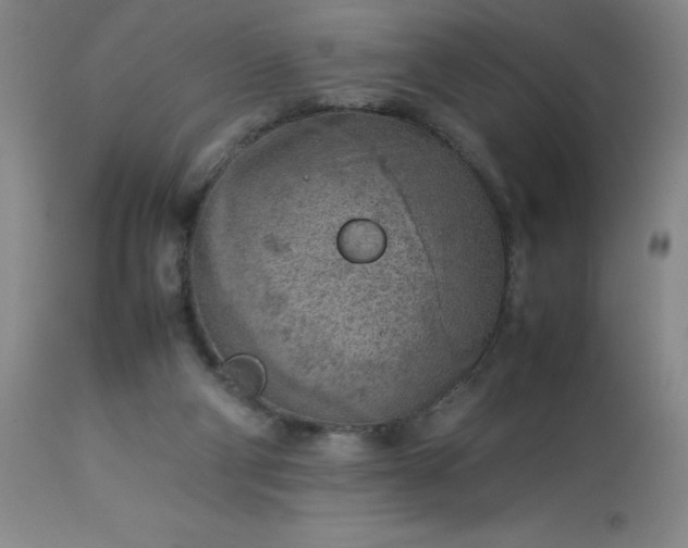 X0000113640114200910021926