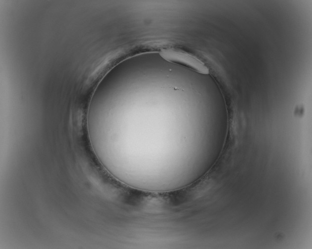 X0000113640115200910021926